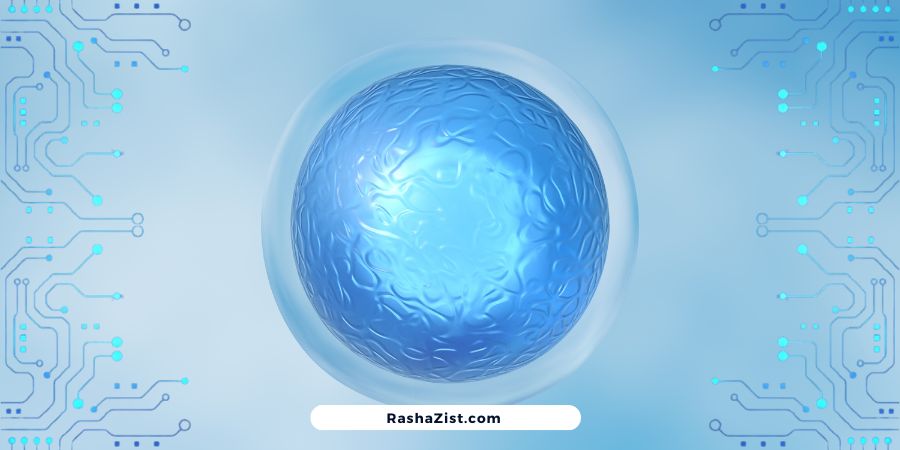 سلول‌های بنیادی پرتوان القایی